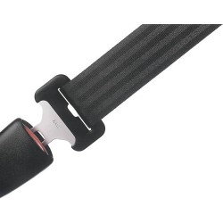 Seat Belt